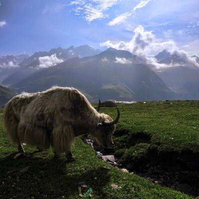 1920 x 1080 HD Wallpapers 2280